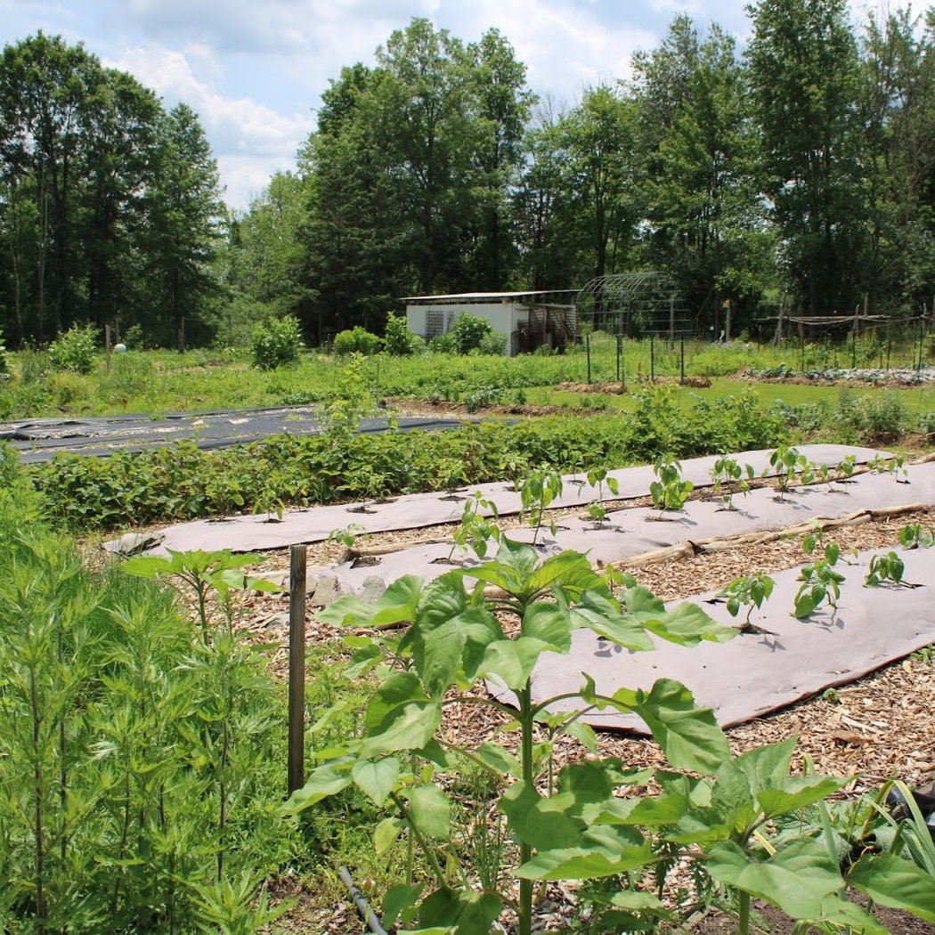 Farm2Chefstable Dinner Oscine by Chef Nicholas Leiss 3