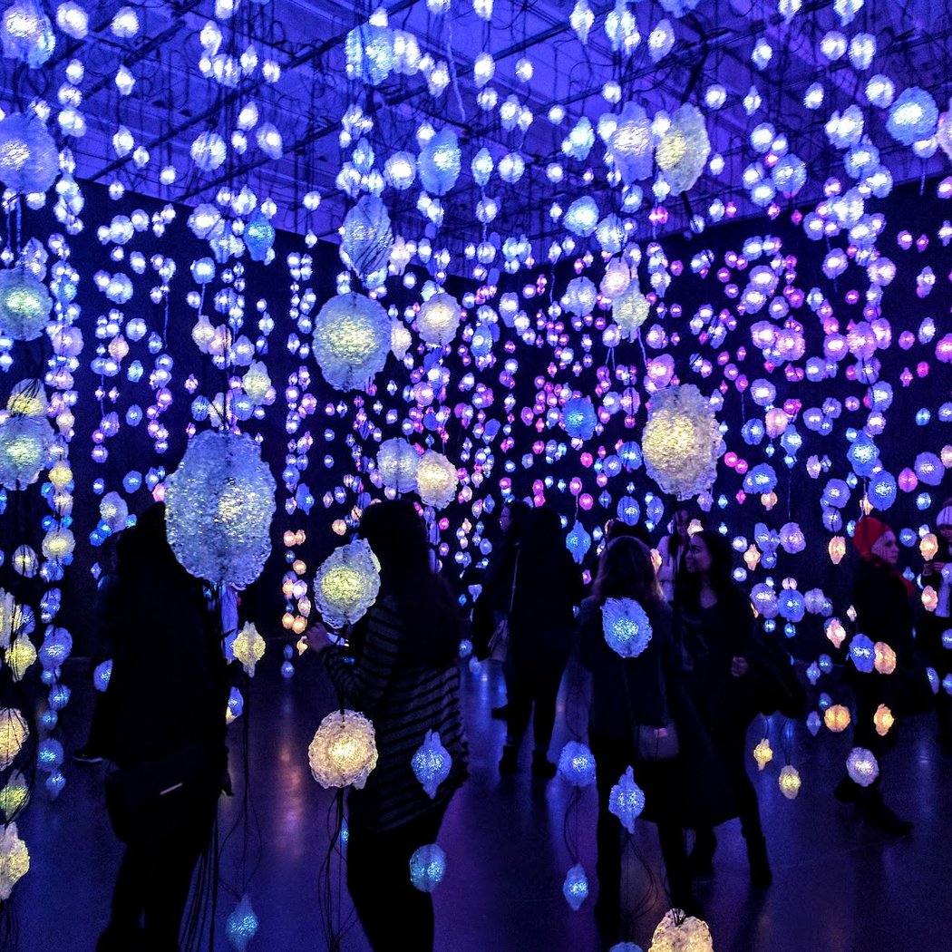 Special Events at the New Museum 1