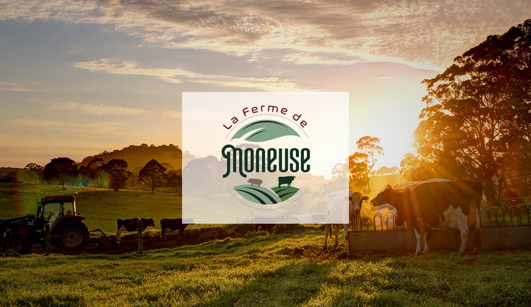 Ferme de Moneuse 2