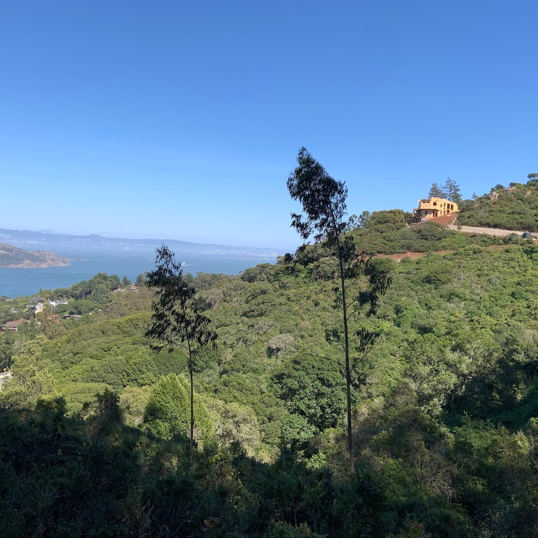 SCA Trail 2