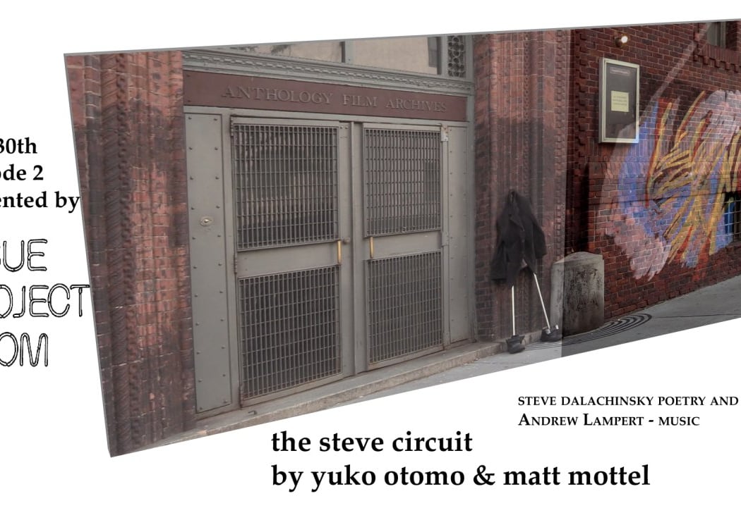 The Steve Circuit 1