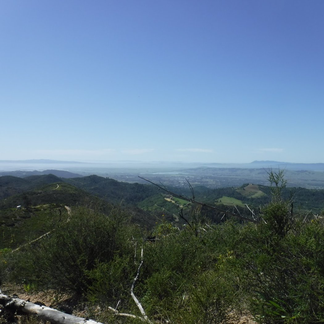 Maggie’s Peak 2