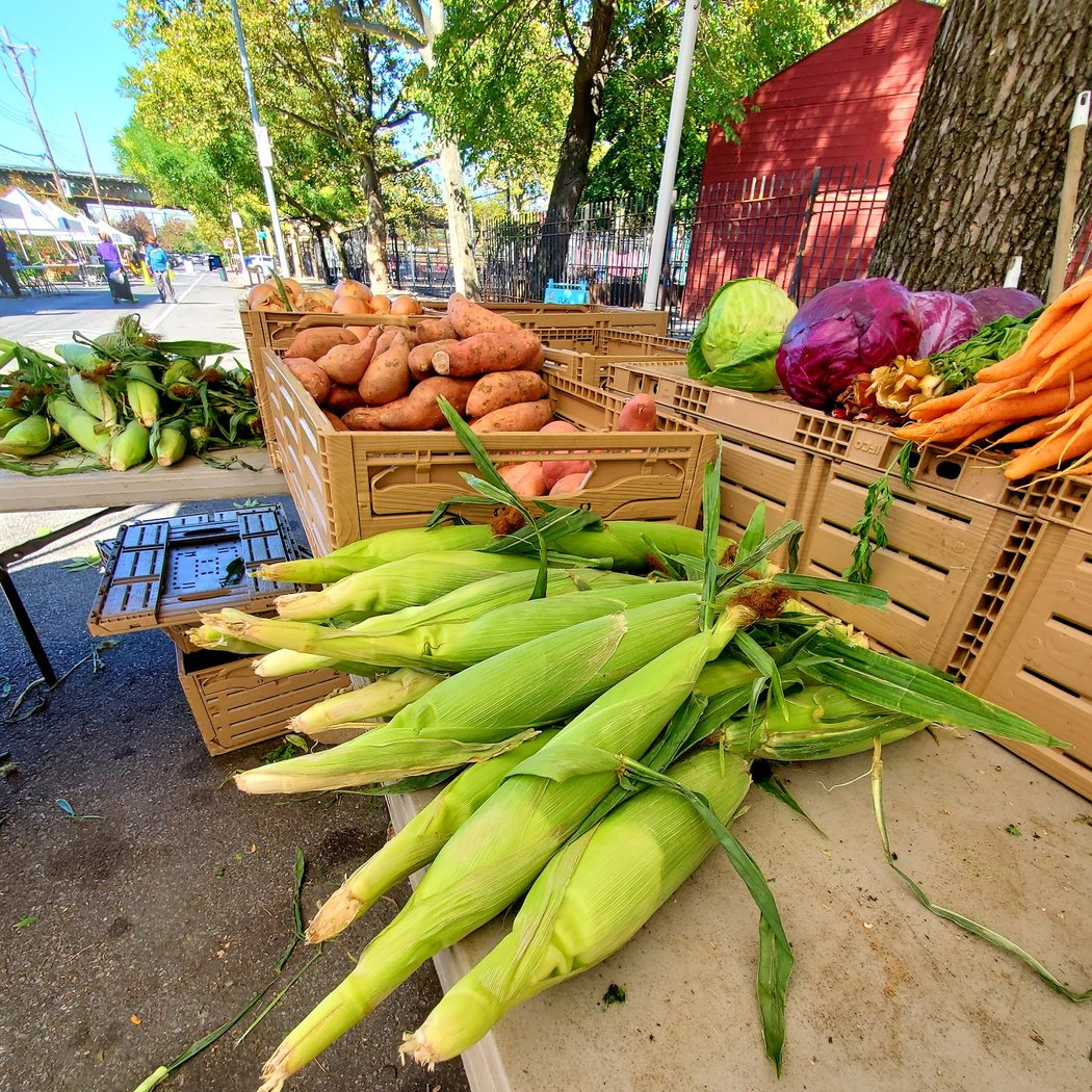 United Community Centers Daycare / East New York Farms! 1