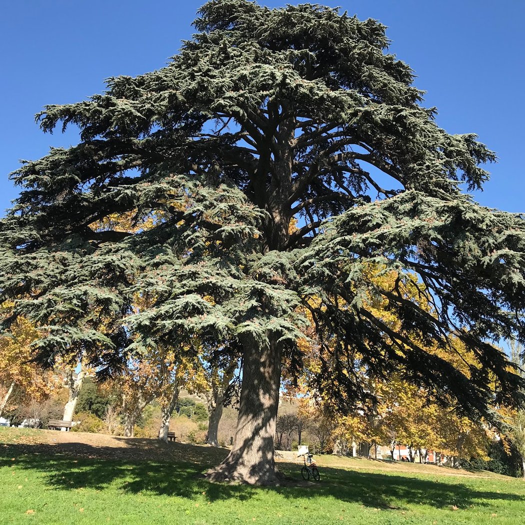 Parc de la Pelouque 1