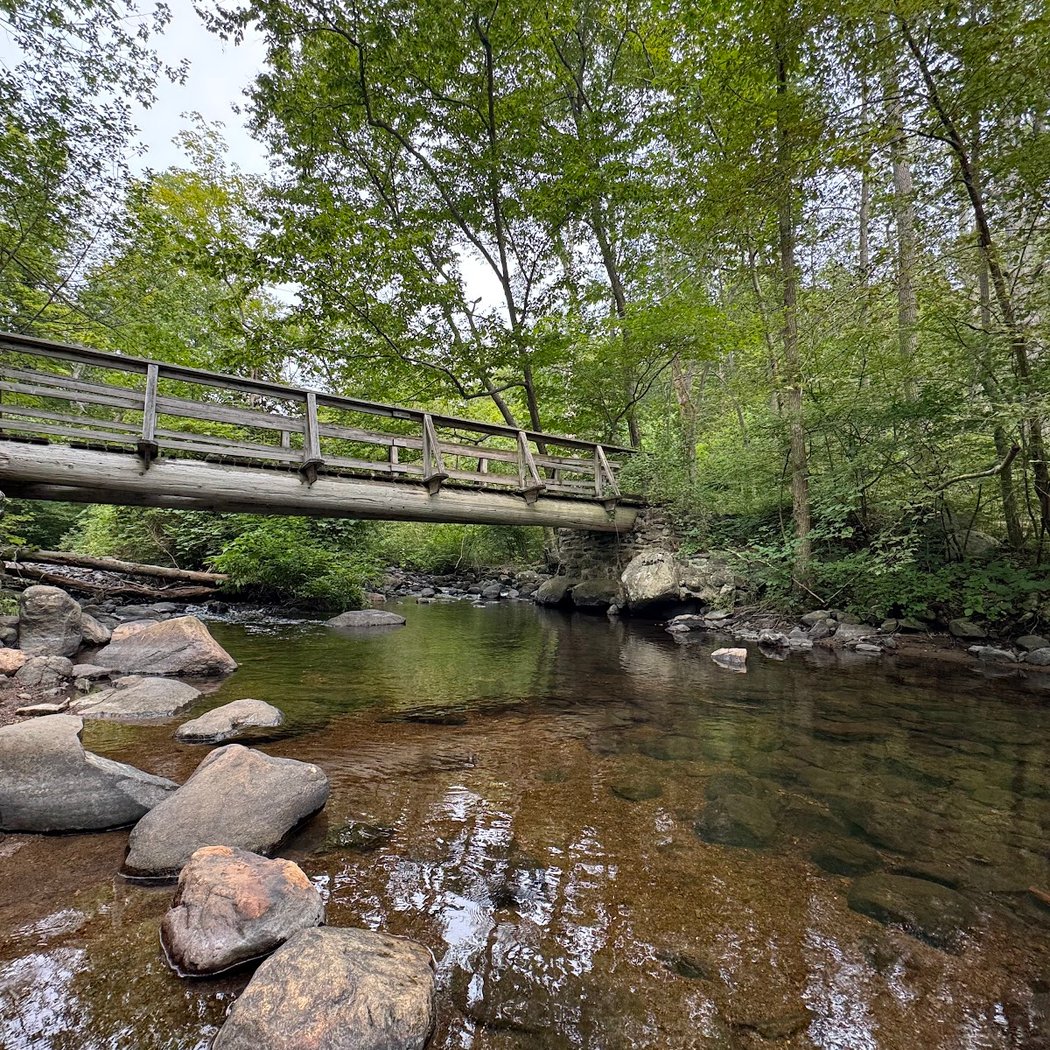Ringwood State Park 3
