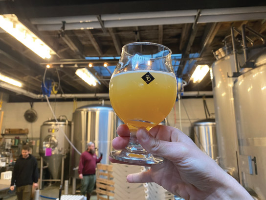 Other Half Brewing Domino Park 4