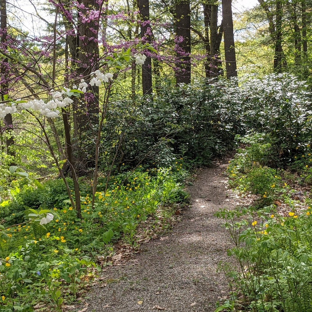 Garden in the Woods 2