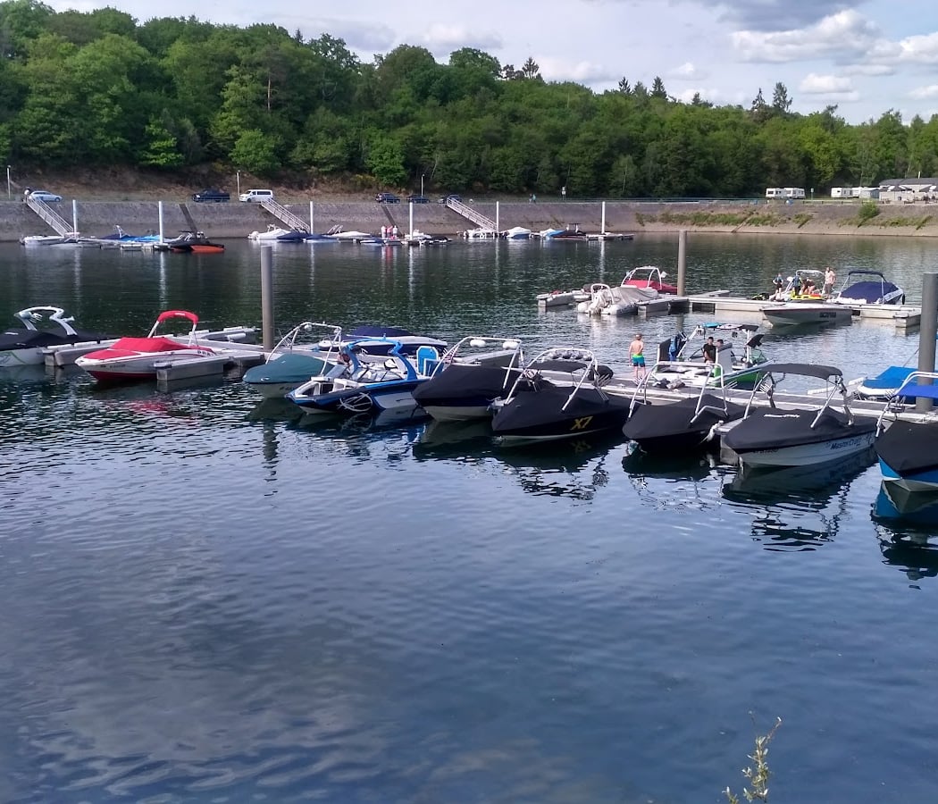 Flyboard Lacs de l'Eau d'Heure - Seasky 5