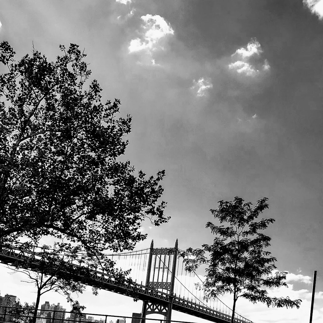 Shore Blvd 3