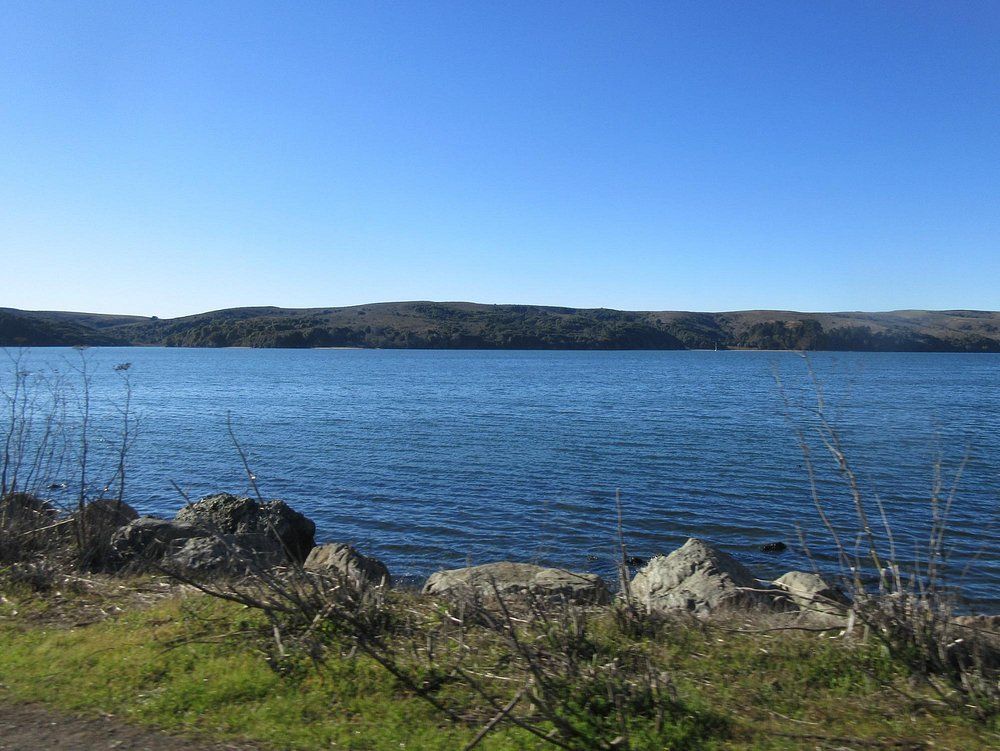 Tomales Bay 1