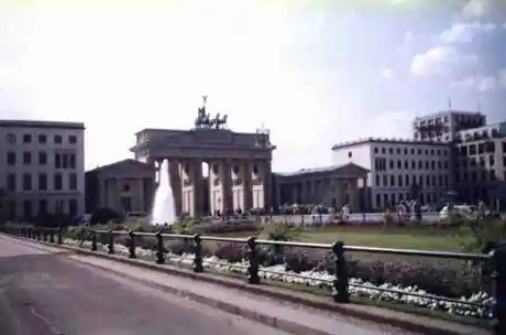 Bärentouren: Berliner Altstadt-Führung