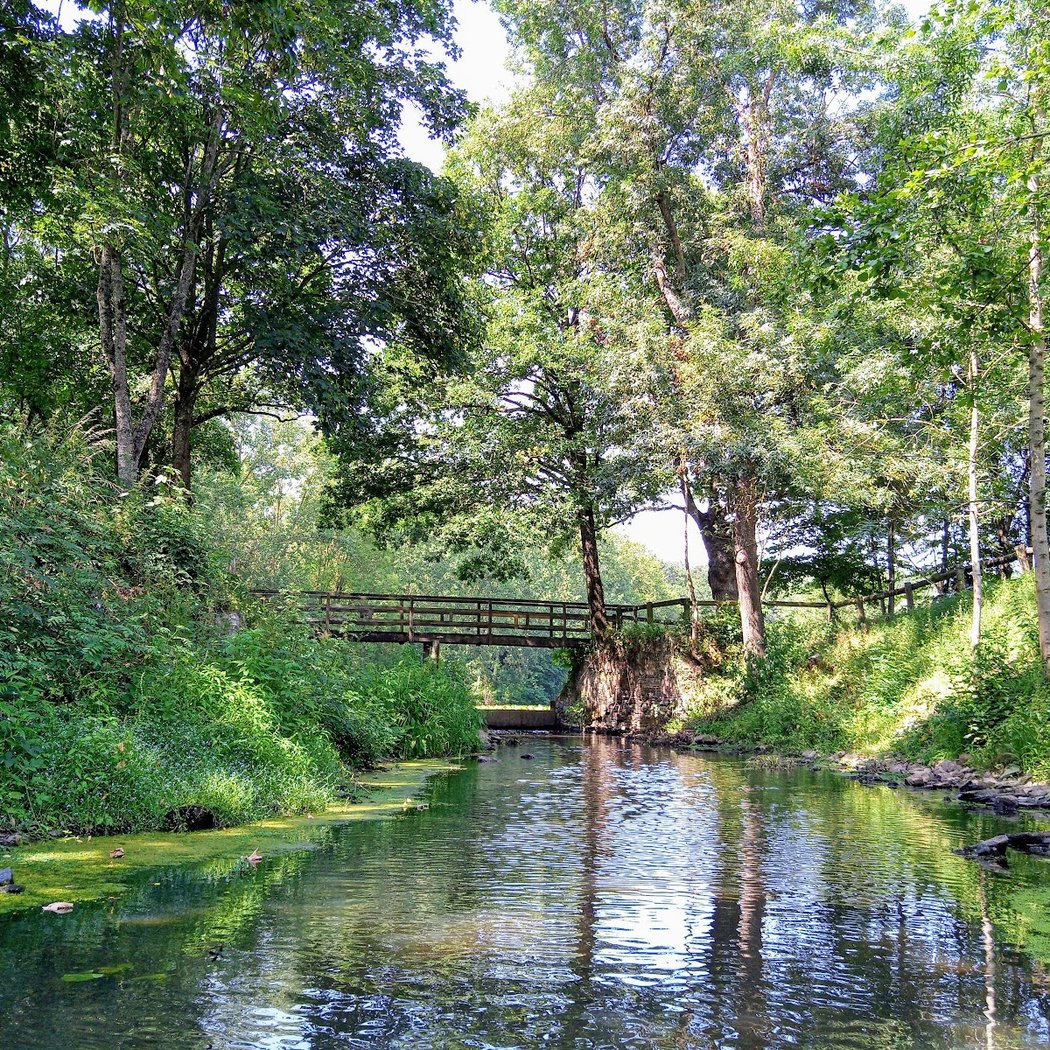 Étang du Bas du Tertre 2