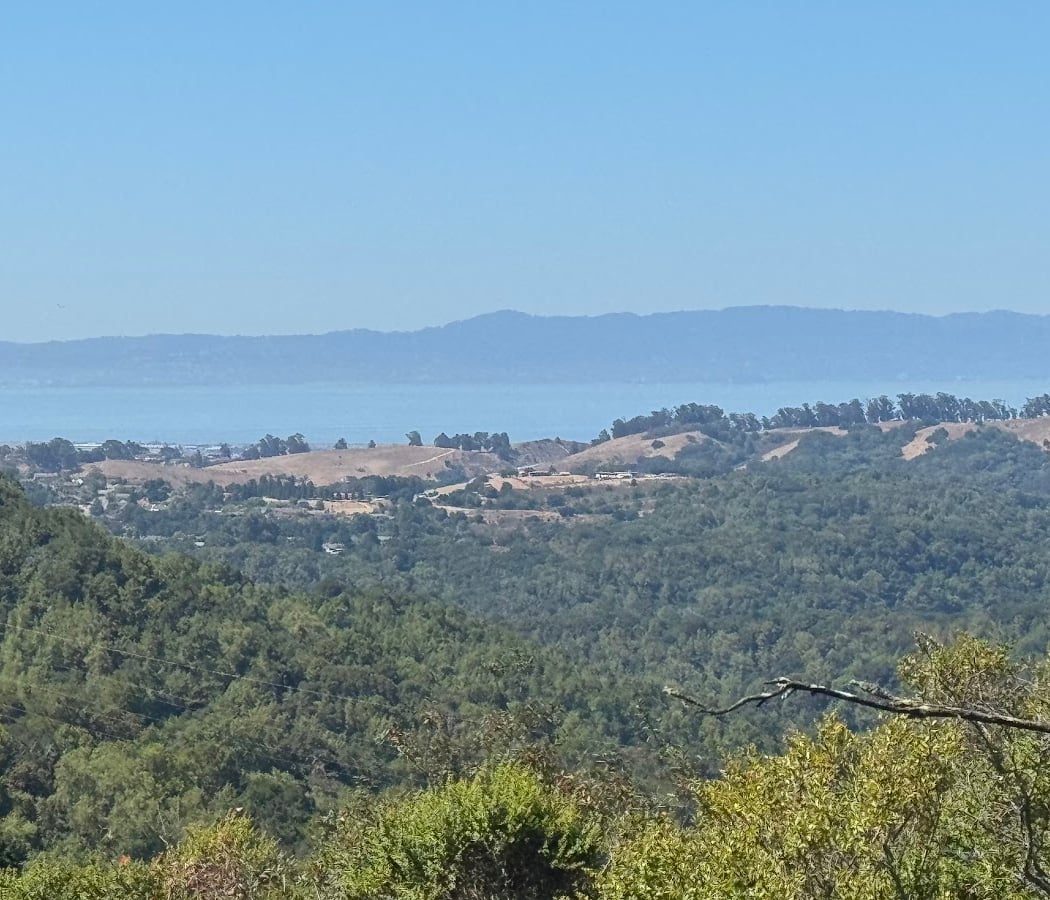 Dinosaur ridge 3