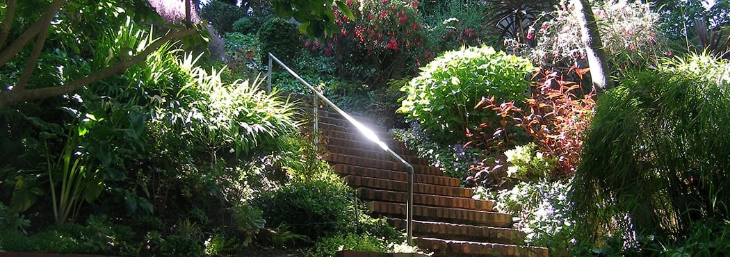 Telegraph Hill Stairway Hike