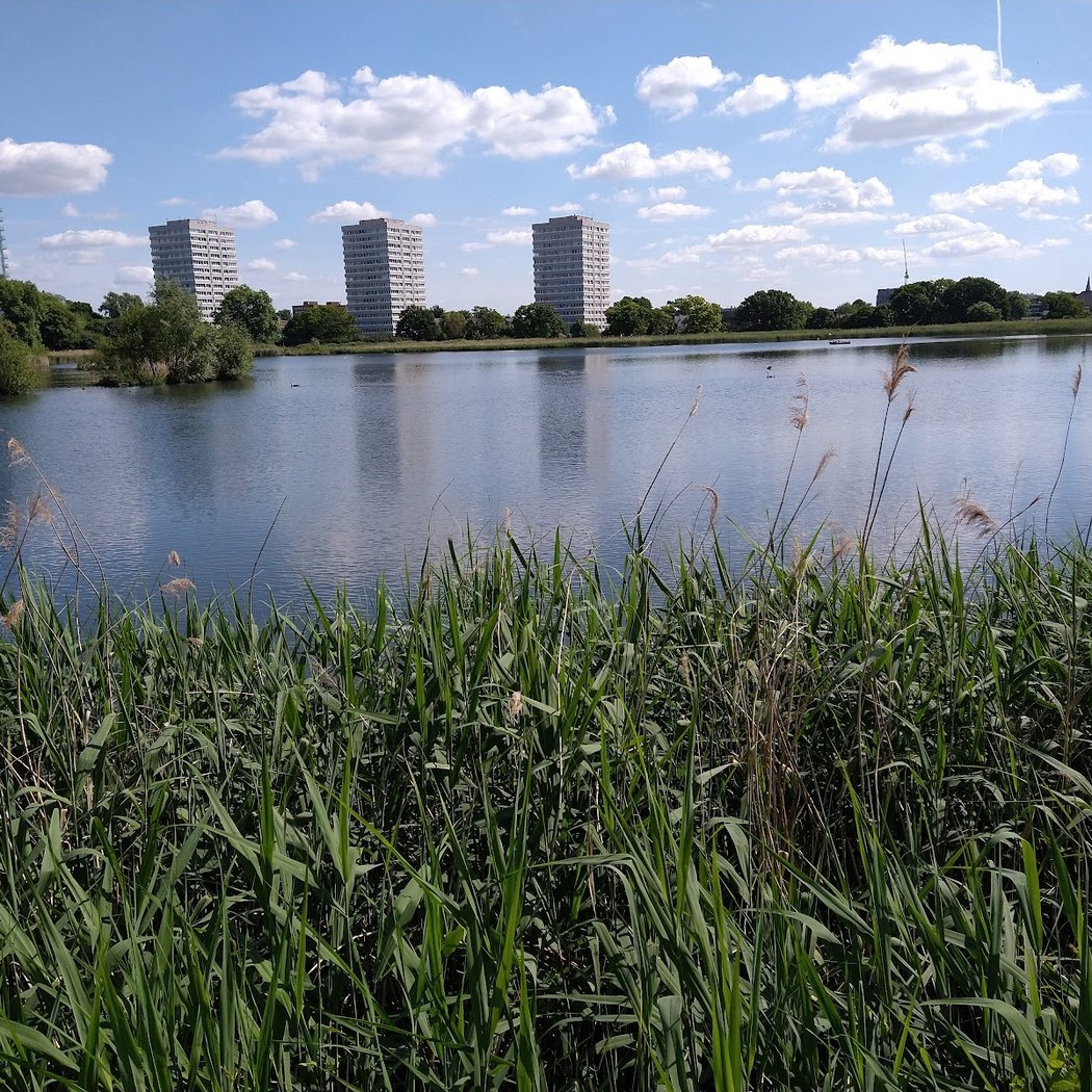 Woodberry Wetlands, London Wildlife Trust 2