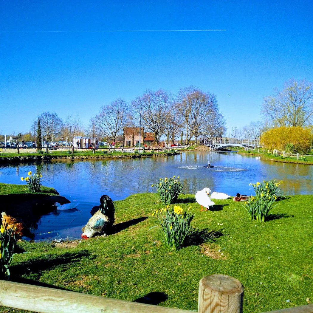 La Ferme aux Oies 1