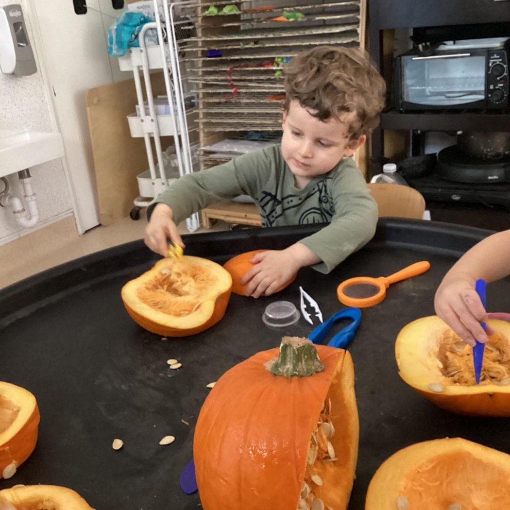 Homeschool Family Field Trip: Autumn Discovery