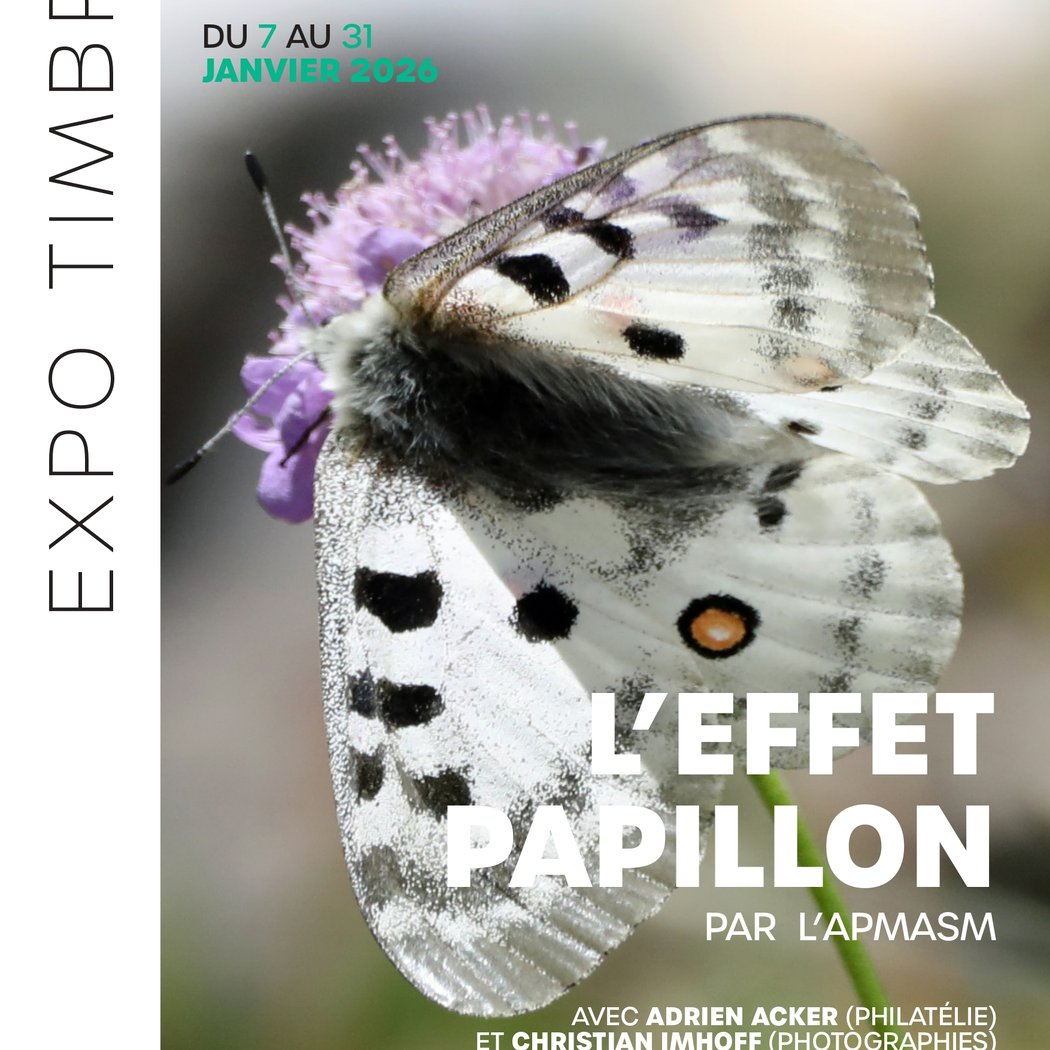Exposition L'effet papillon 1