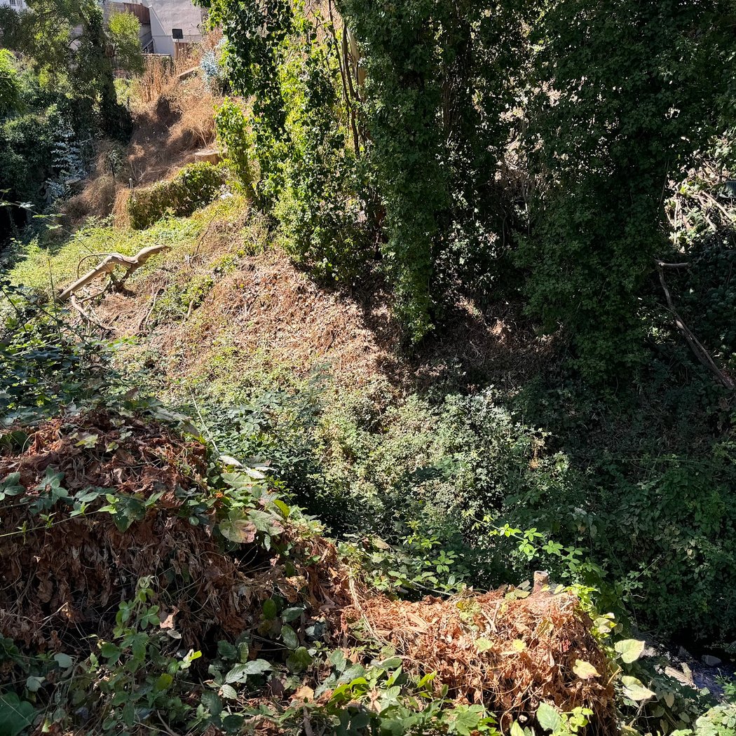 Sausal Creek 2