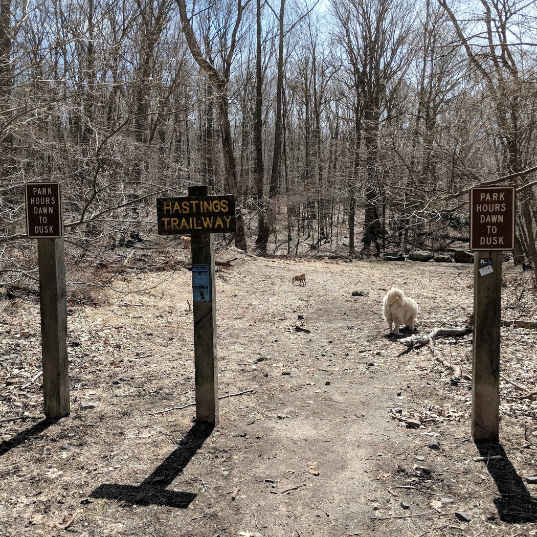 Hillside Park 2