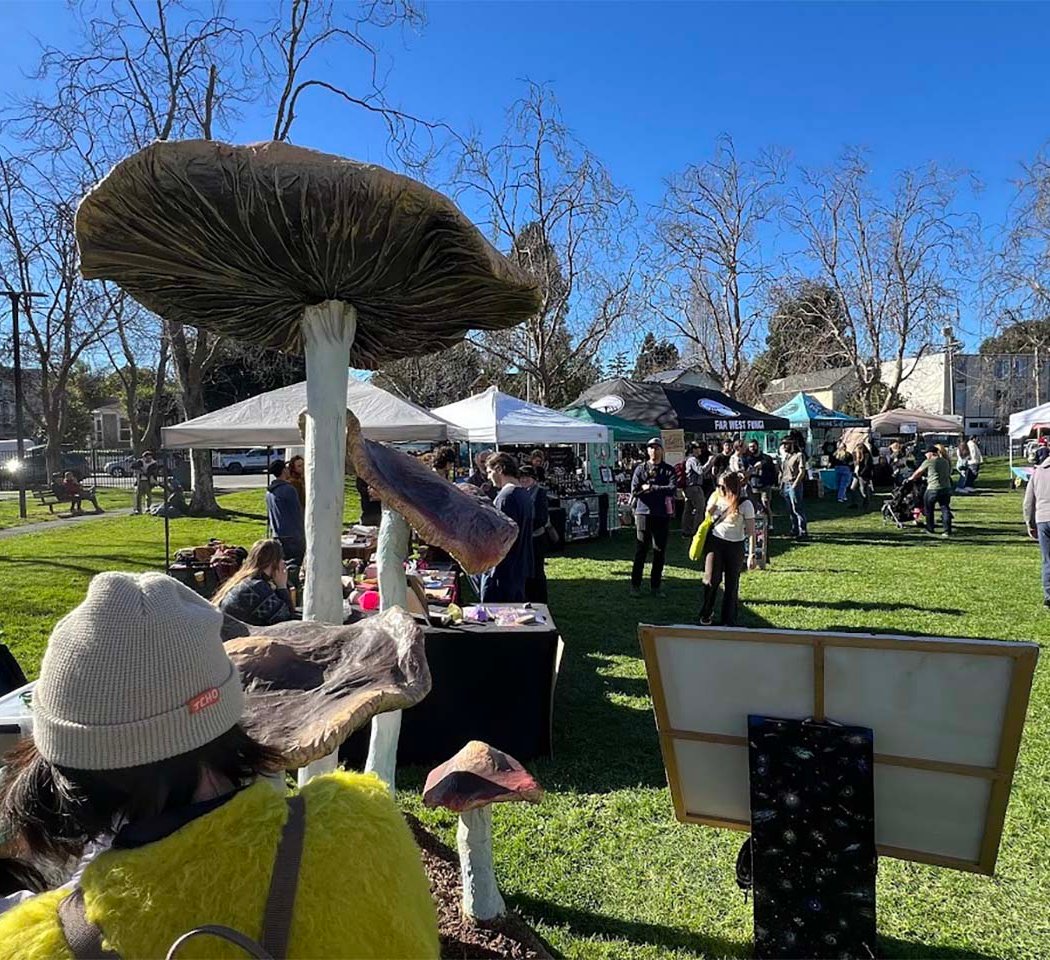 Santa Cruz Fungus Fair 1