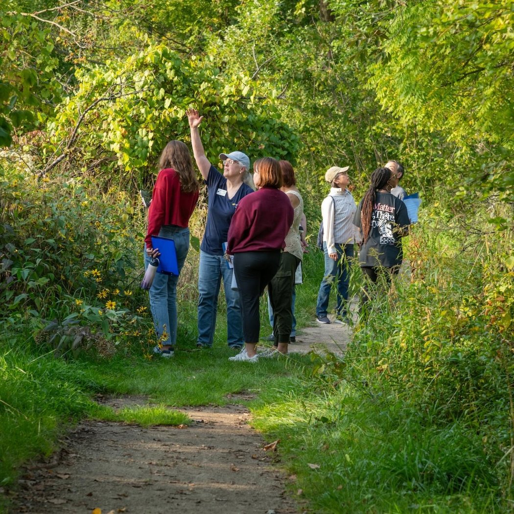 Wonder Walk: Sun-Kissed September