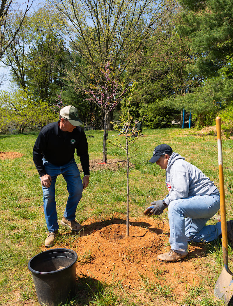 Household Groups & Individuals Volunteer Day 2