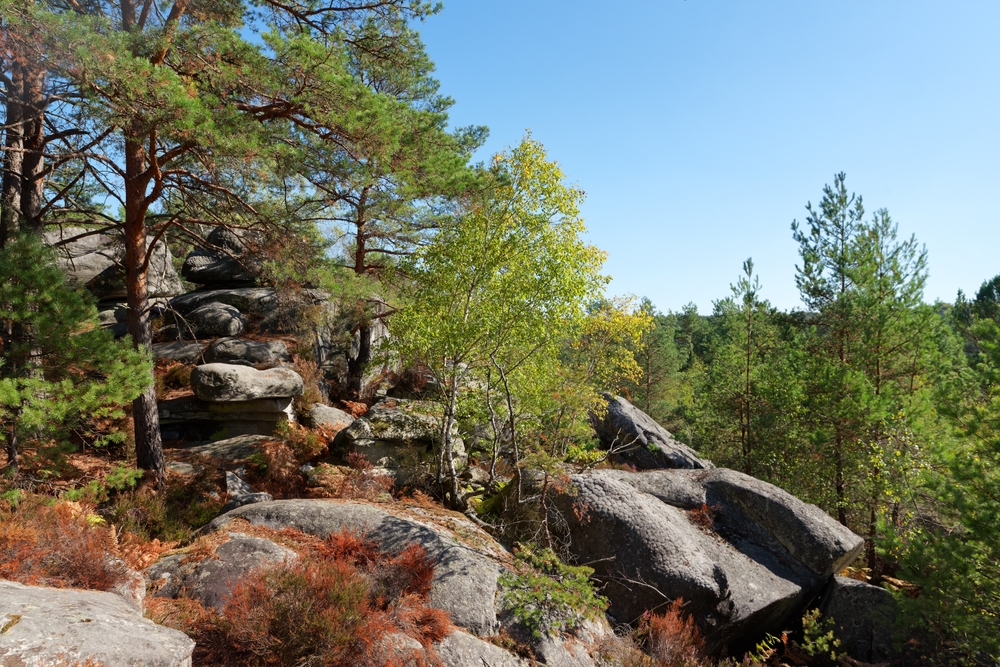 Sentier des Gorges de Franchard 2
