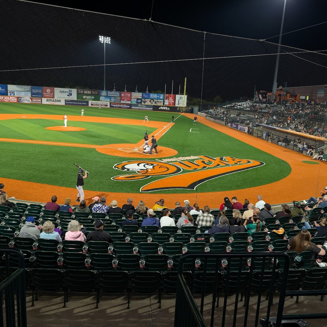 Long Island Ducks Baseball 1