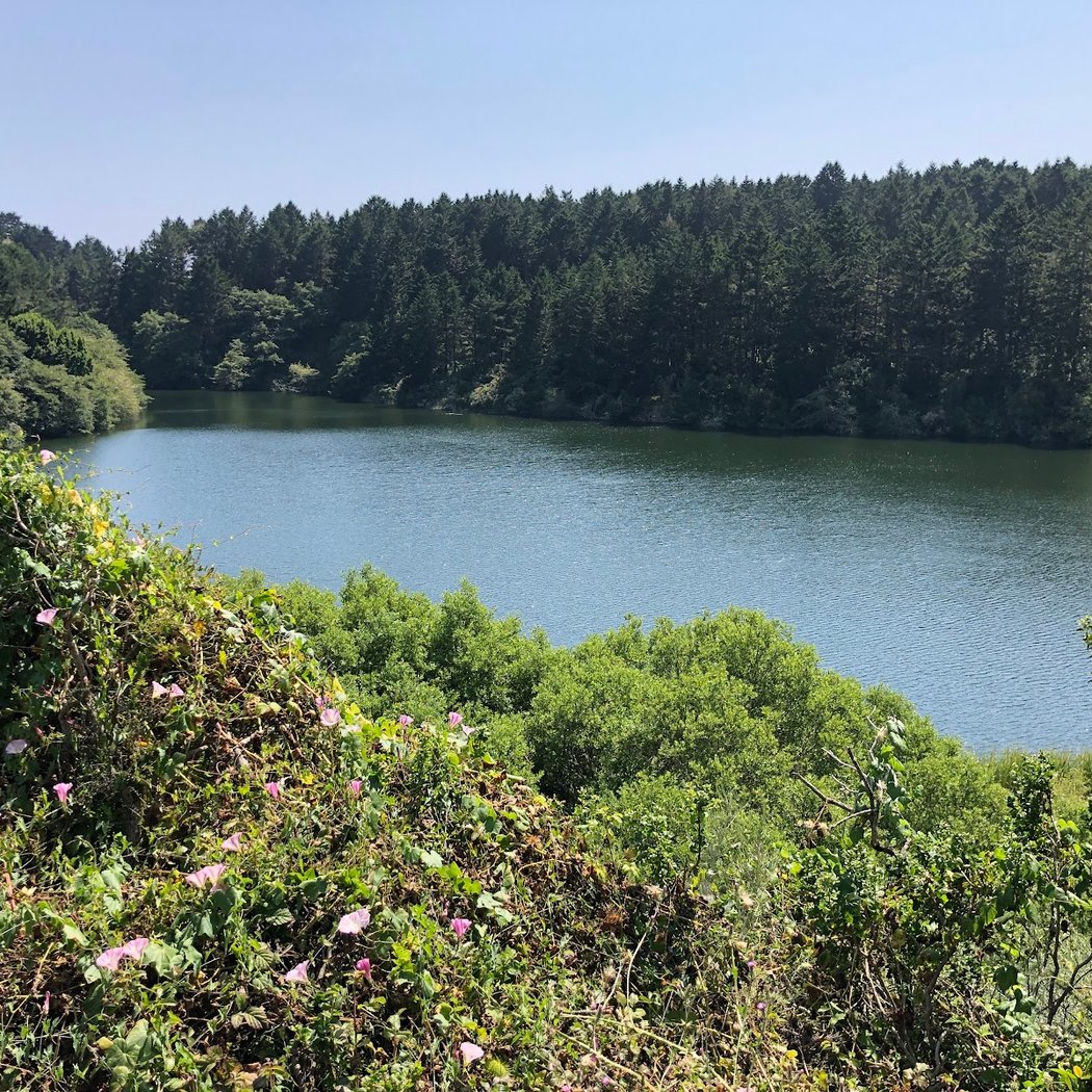 Bass Lake 2