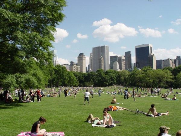 Sheep Meadow 3
