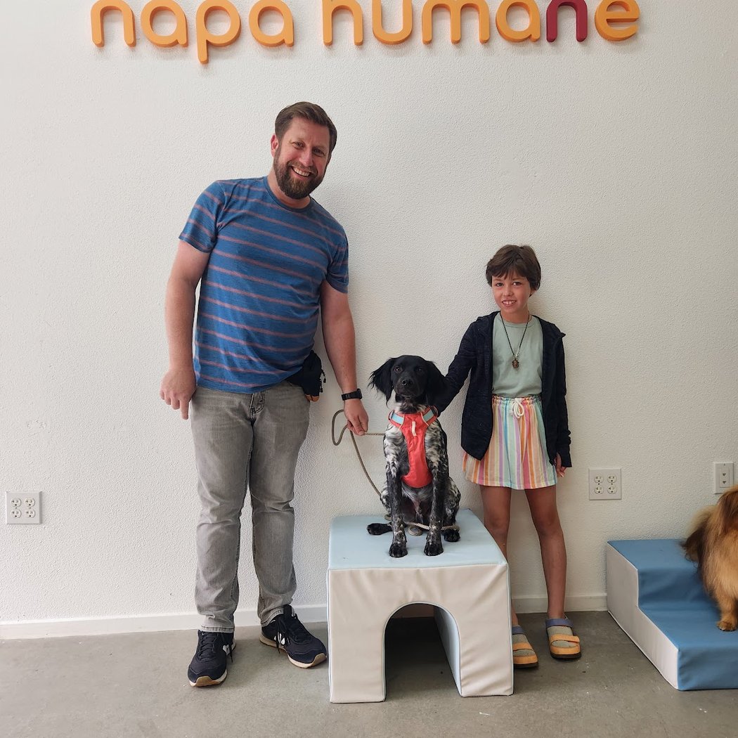 Dog Training Classes 3