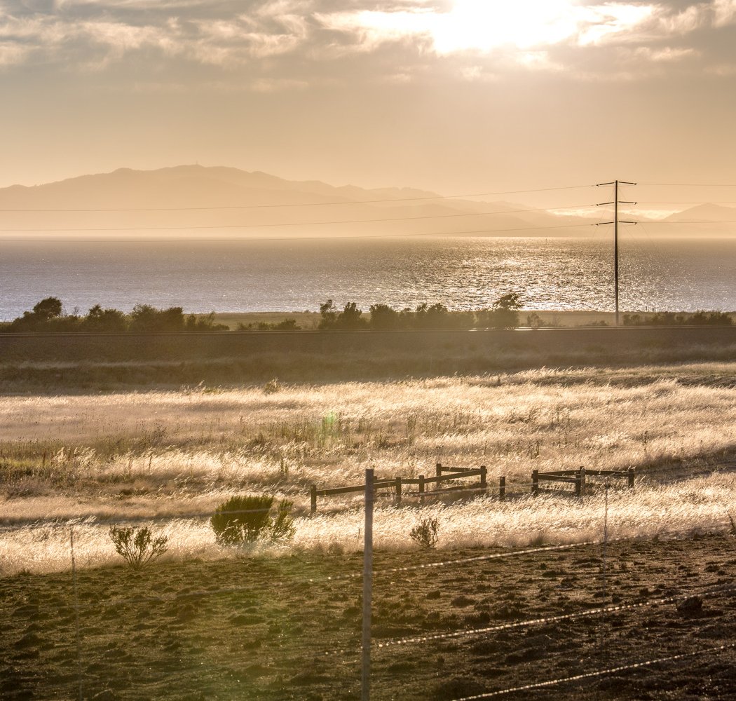 San Francisco Bay Trail 3