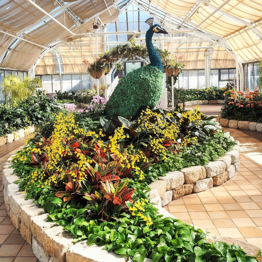 Blooms & Butterflies 1