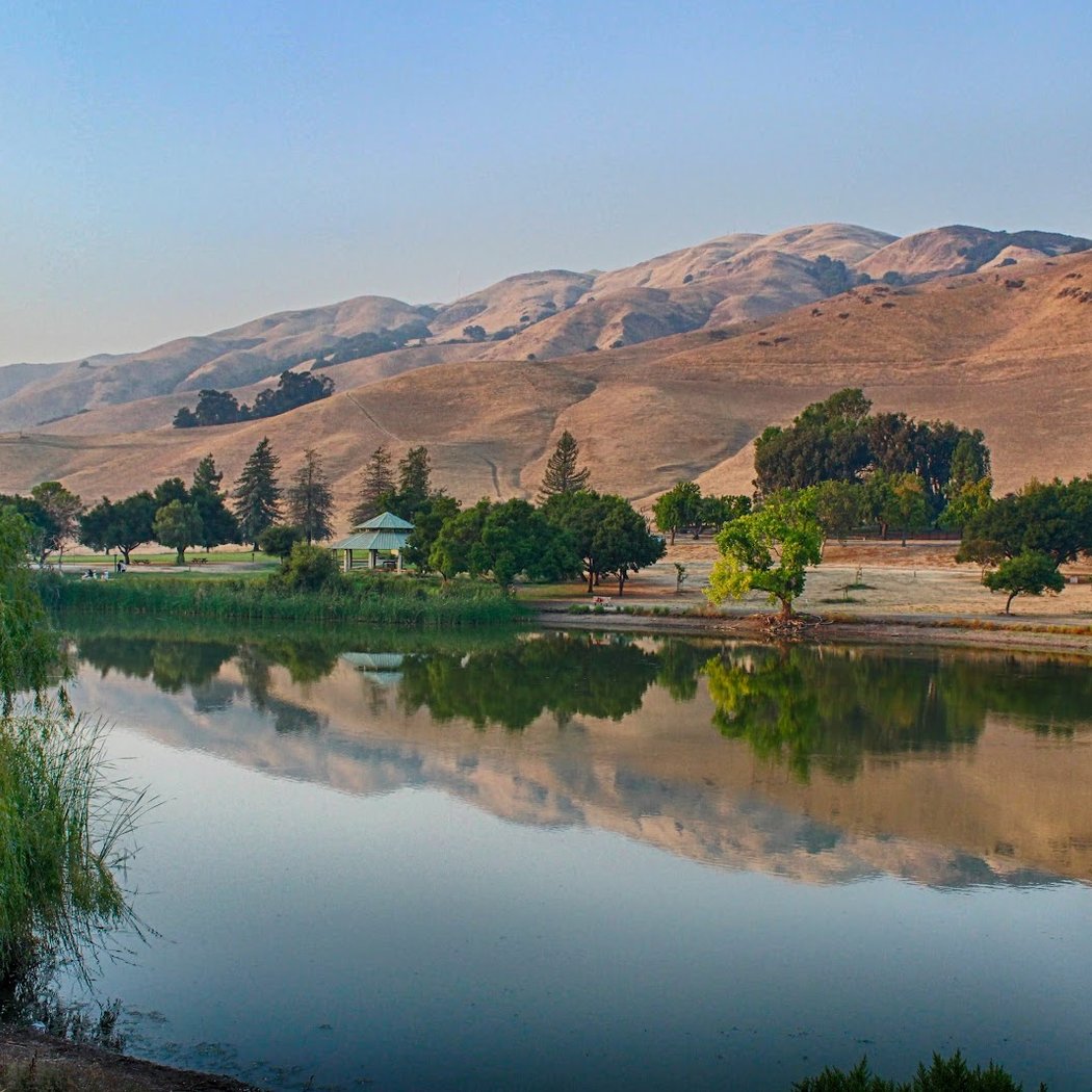 Bird Watching at Ed R. Levin County Park 4