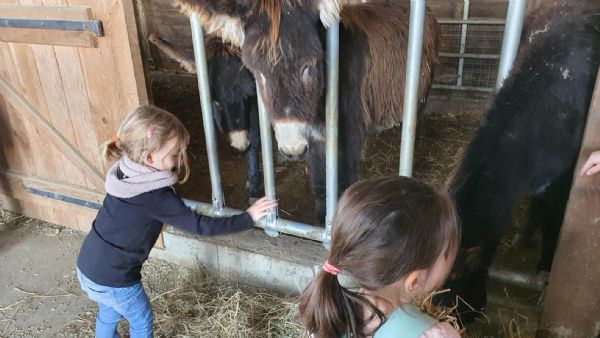 Ferme decouverte Asinerie de Pierretoun, randonnées avec ânes 1