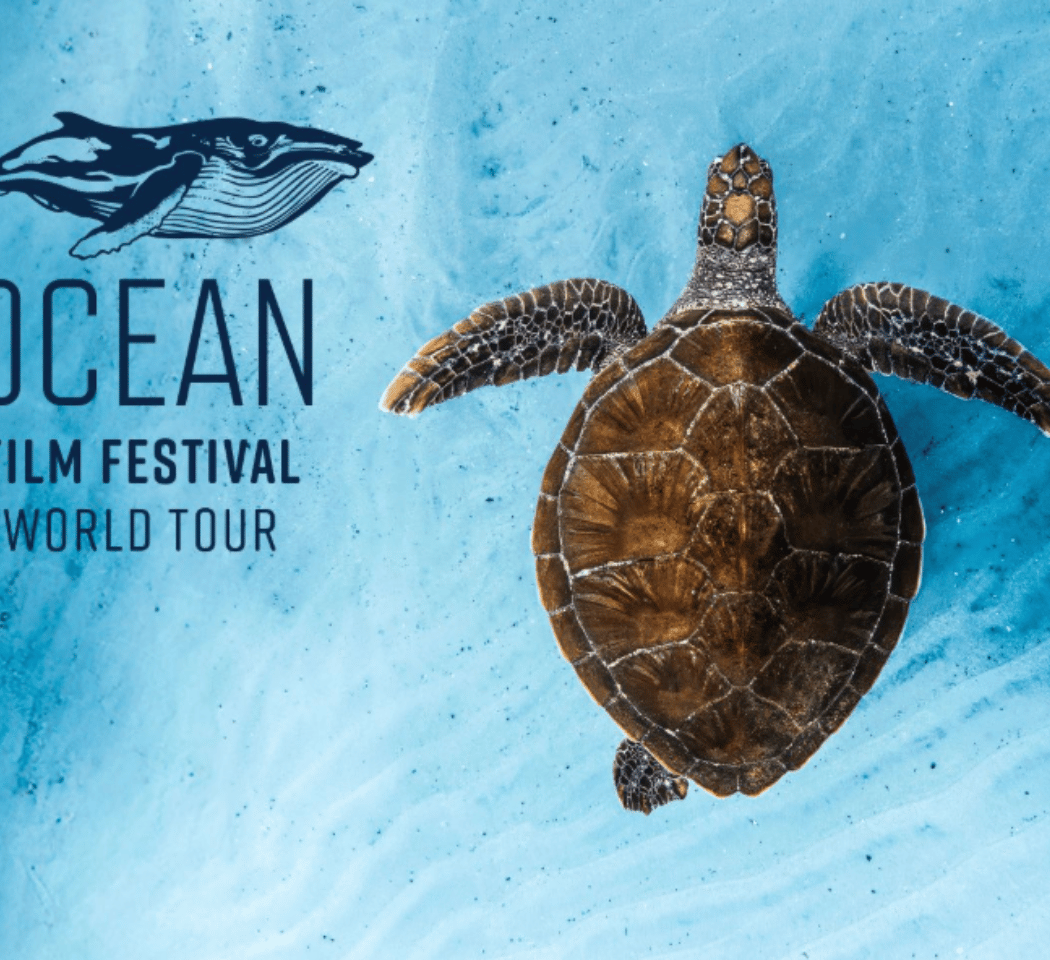 Ocean Film Festival World Tour