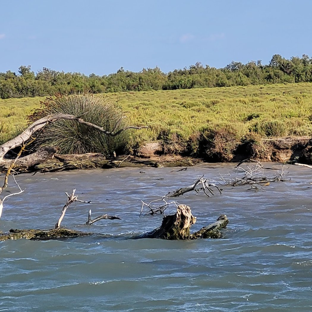 Bateau Le Camargue 3