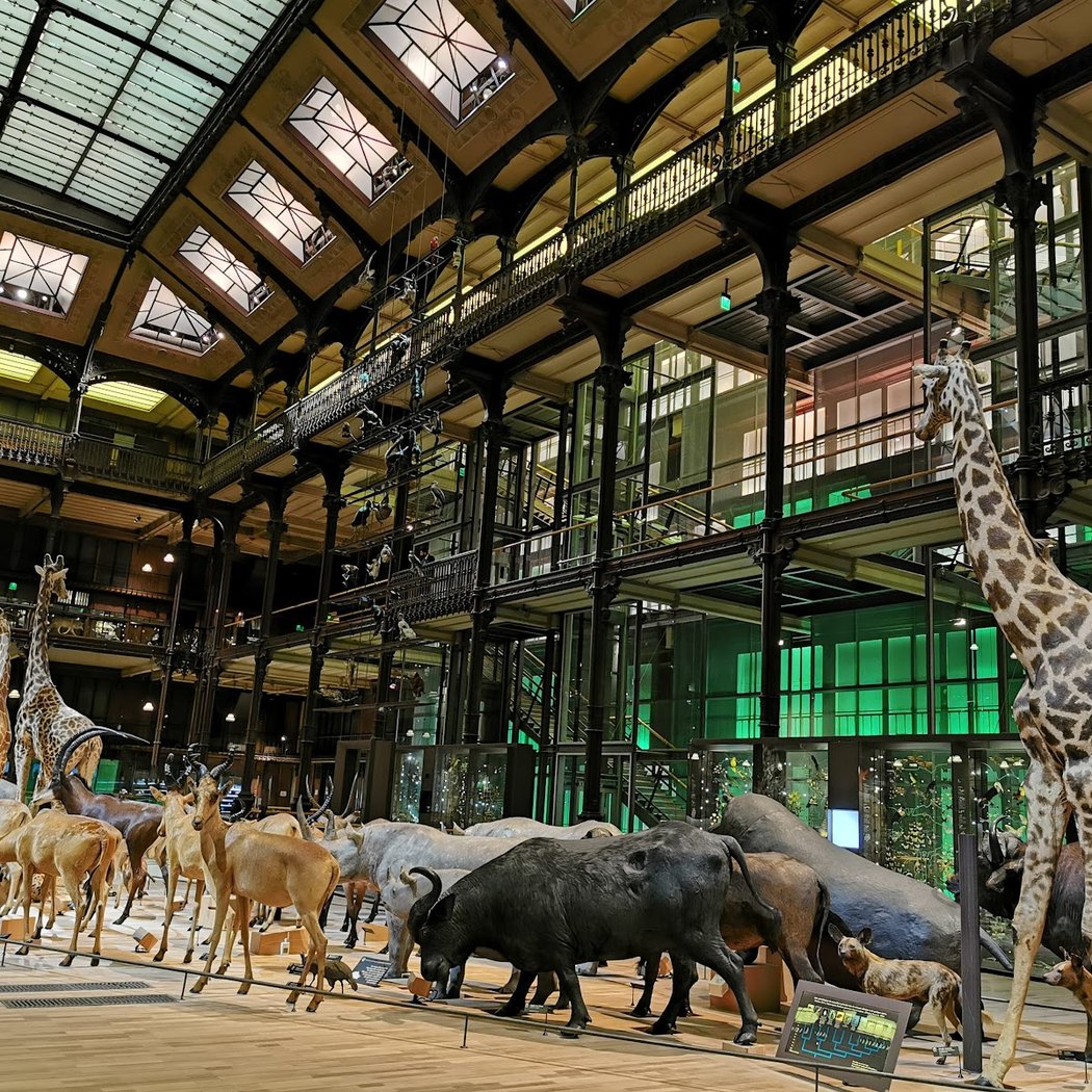 Visite contée à la Galerie de l'Évolution 1