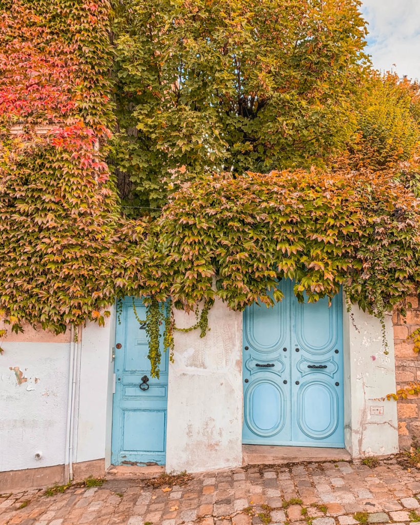 The Blue House 1