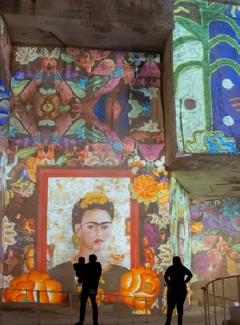 Expo Frida Kahlo 2