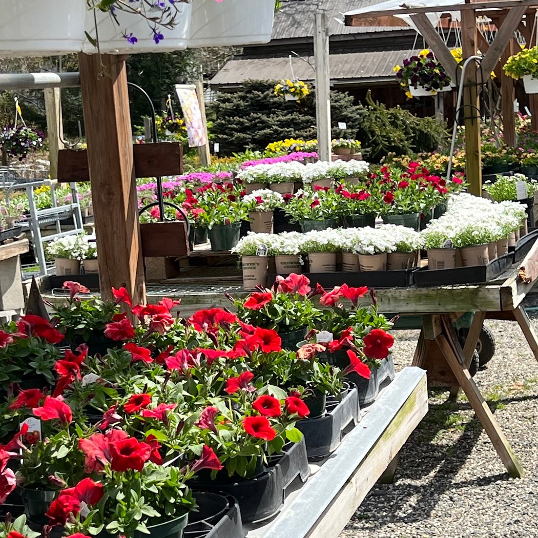 Twin Ponds Greenhouses 3