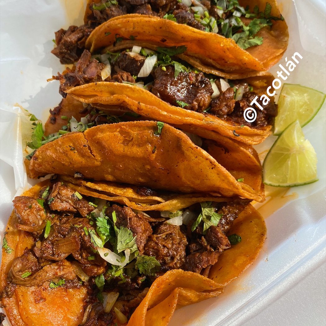 Tacotlan 2