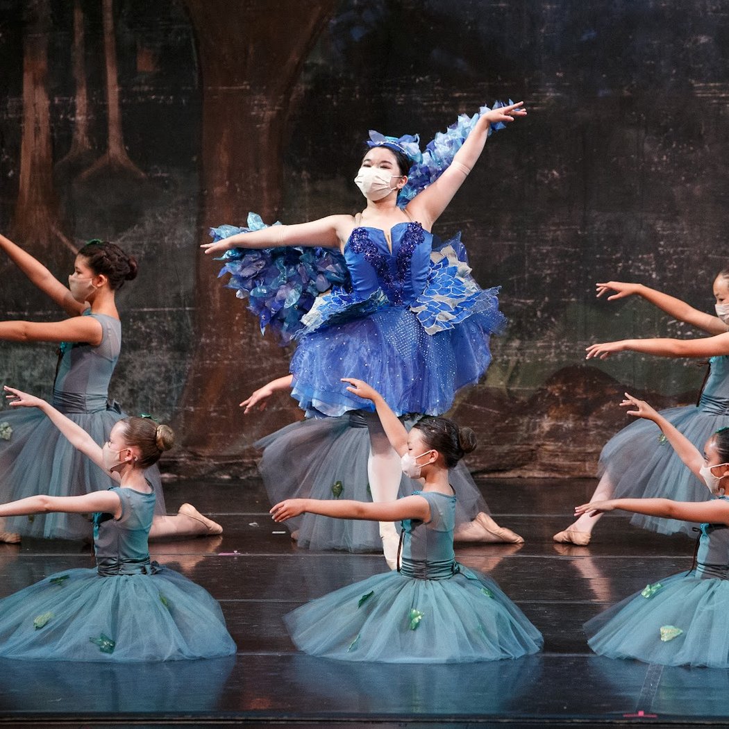 Beginner to Advanced Ballet Classes for Children and Teens 1