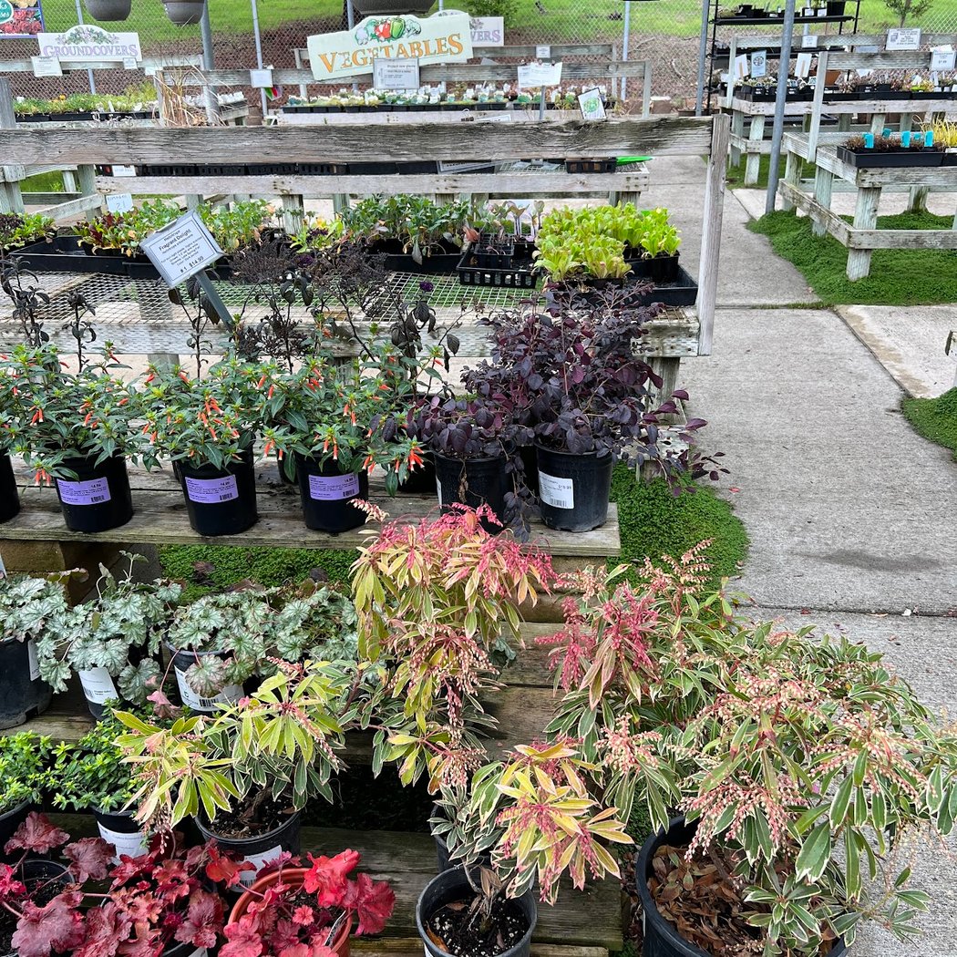 Almaden Valley Nursery 1