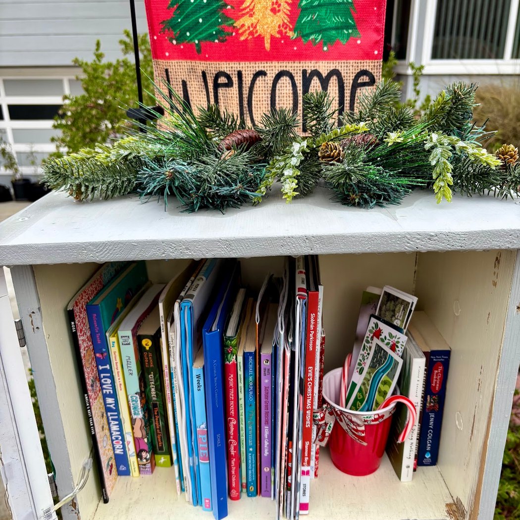 Sunnyslope Little Free Library 1