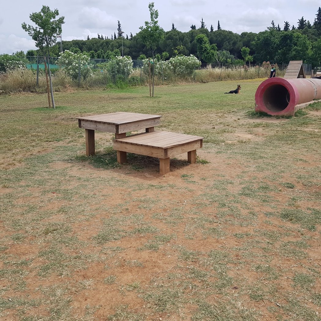 Parque De Perros 3