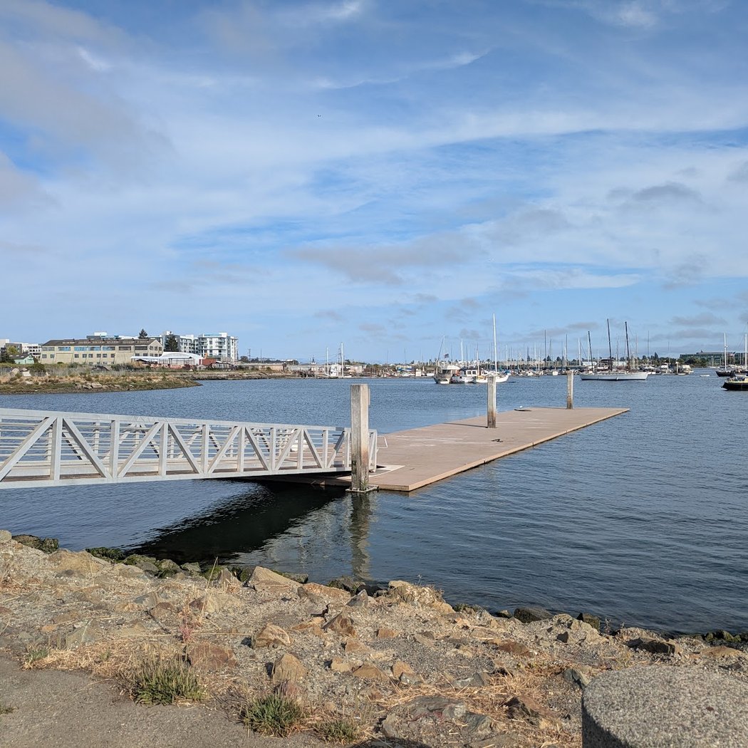 Boats Without Barriers Regatta 2