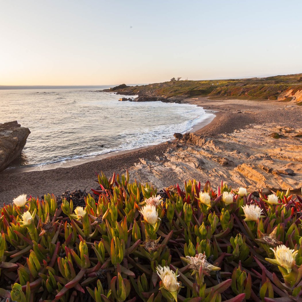 Bean Hollow State Beach 1
