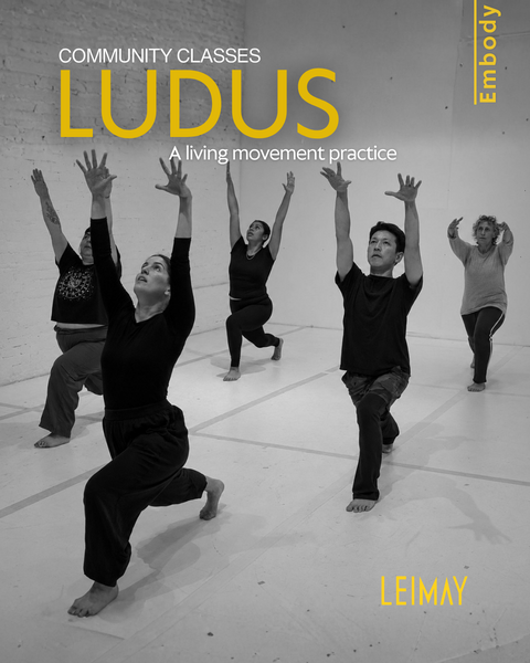 LUDUS Community Classes